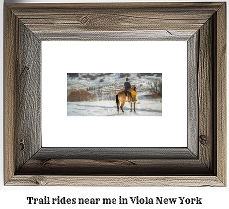 trail rides near me in Viola, New York